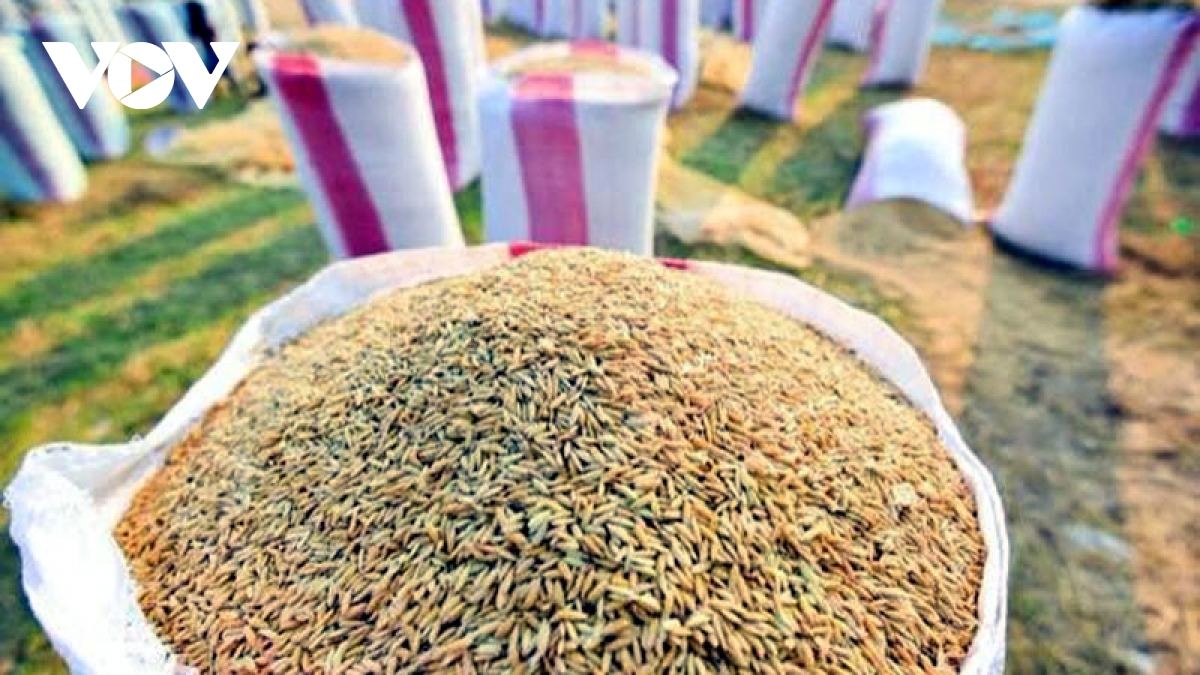 MoIT announces tariff quotas for rice, dried tobacco imported from Cambodia